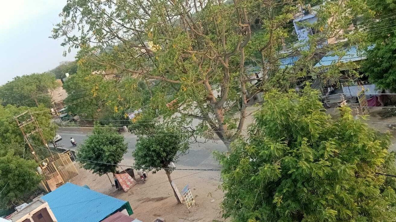 Photo of Outdoor in Barsana