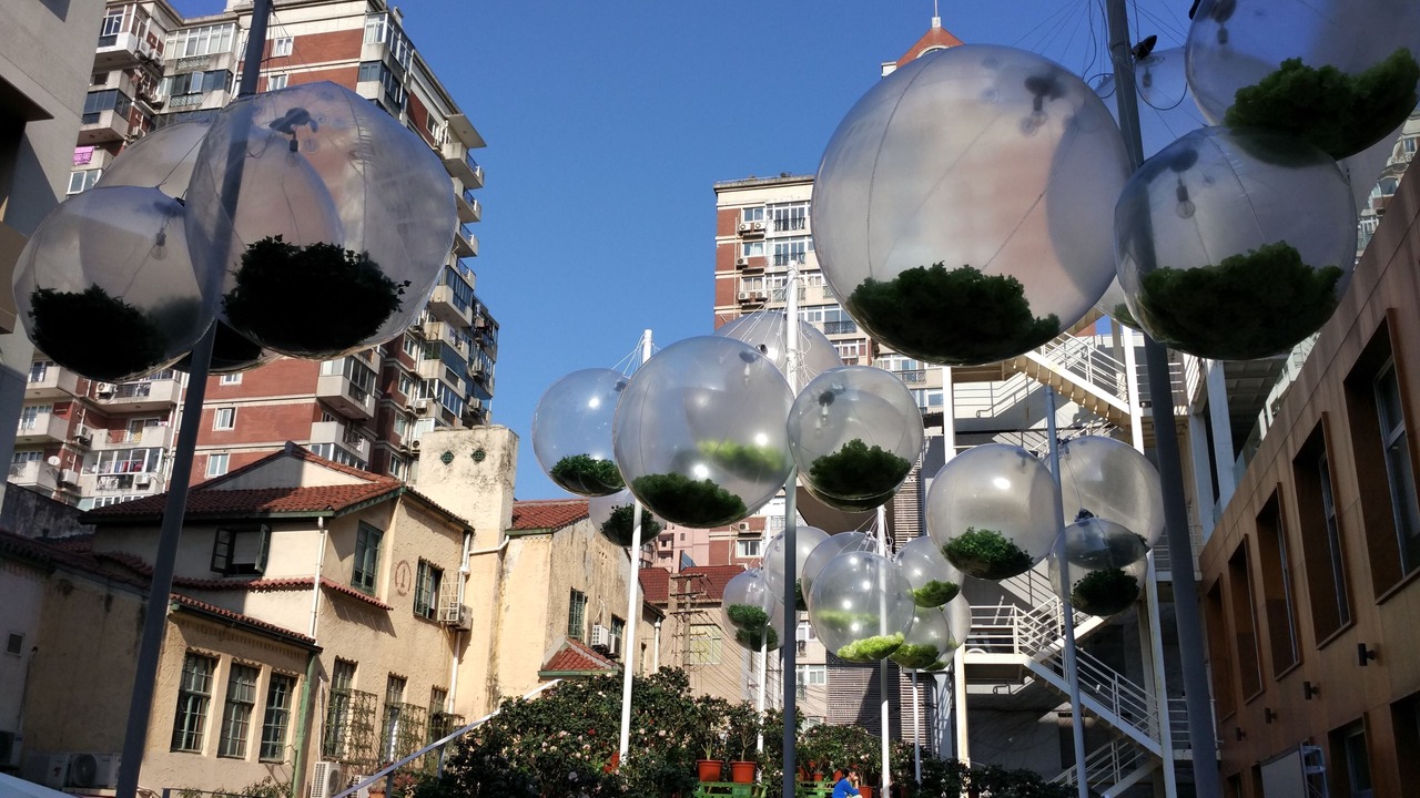 Photo of Outdoor in Xuhui