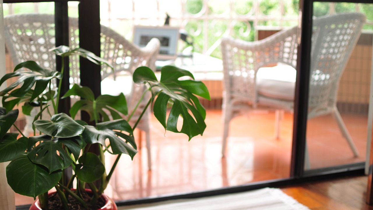 Photo of Outdoor in Xuhui