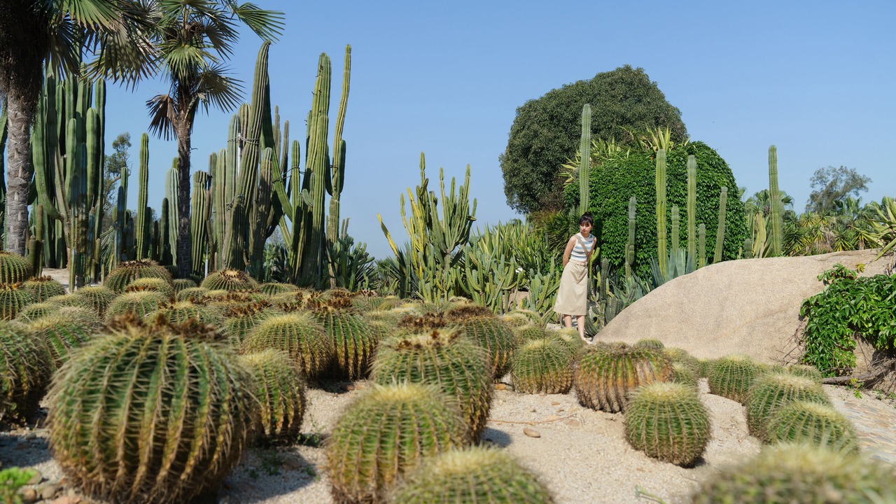 Photo of Others in Siming