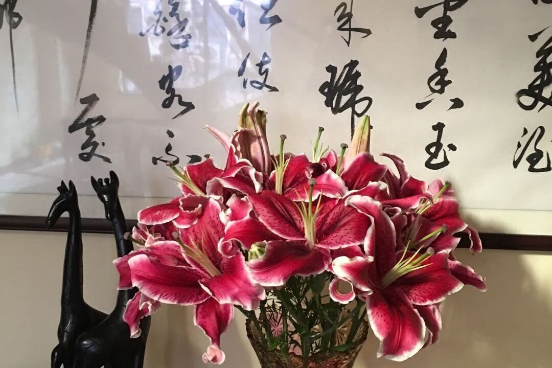 Photo of Patio Balcony in Minhang