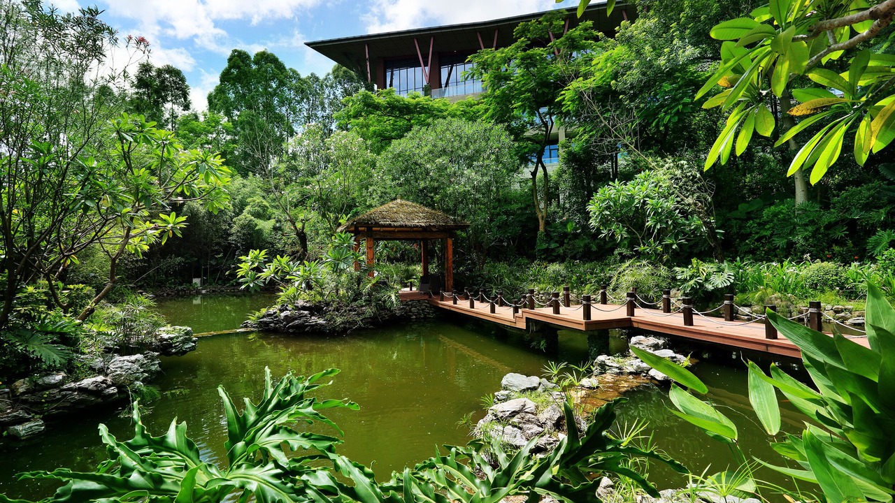 Photo of Outdoor in Longgang