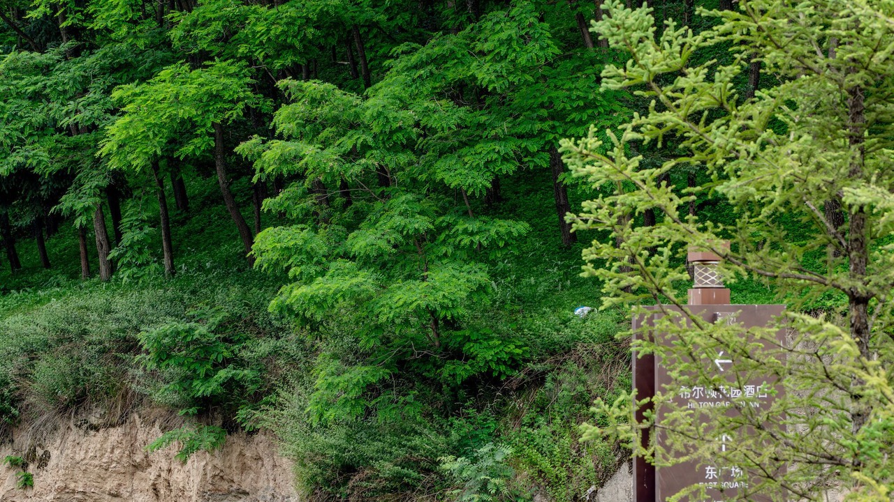 Photo of Outdoor in Jiuzhaigou