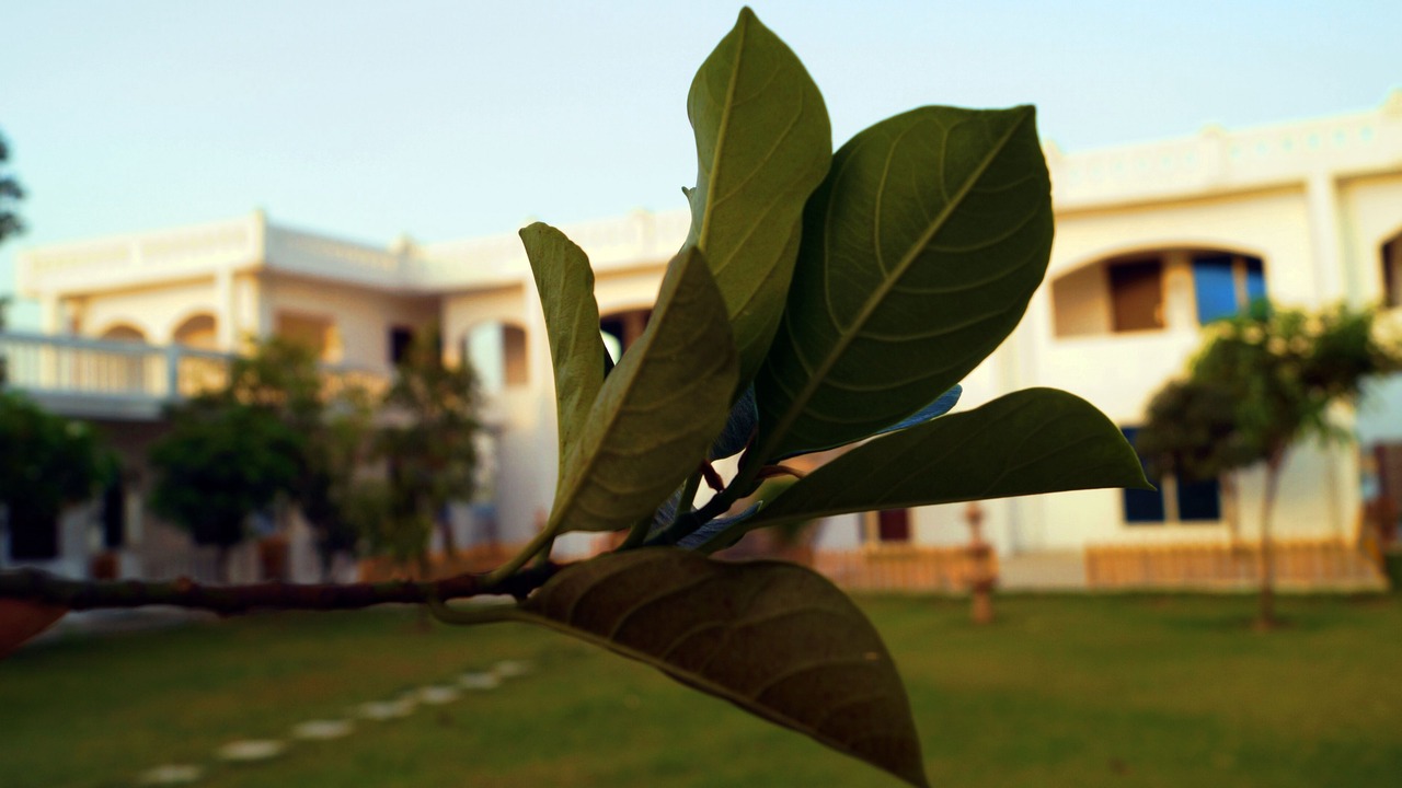 Photo of Outdoor in Garhmukteshwar