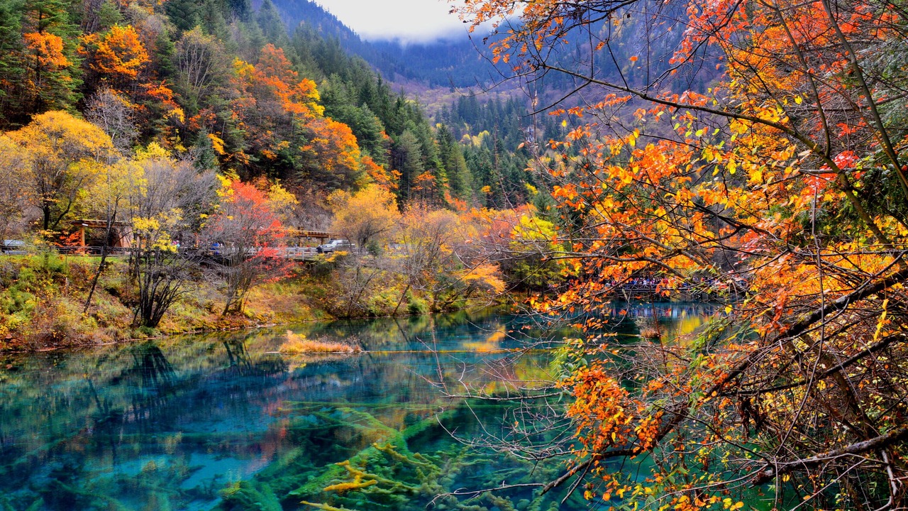 Photo of Others in Jiuzhaigou