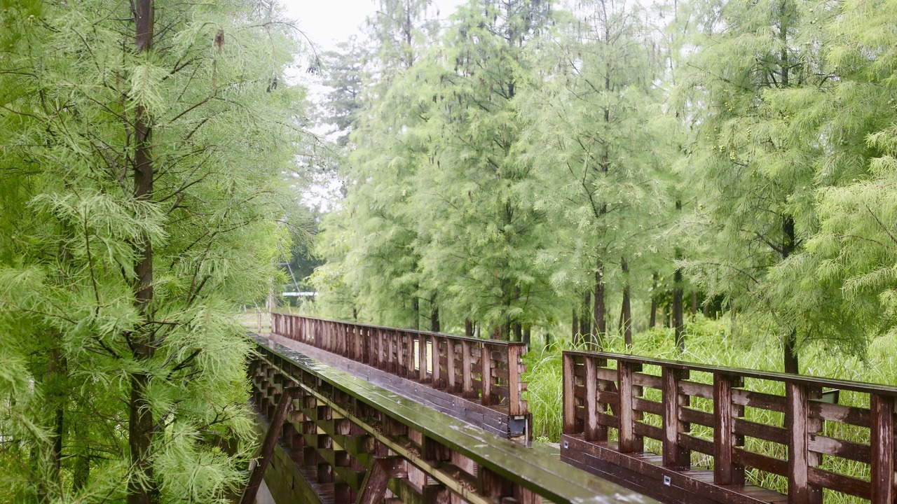 Photo of Others in Guzhen