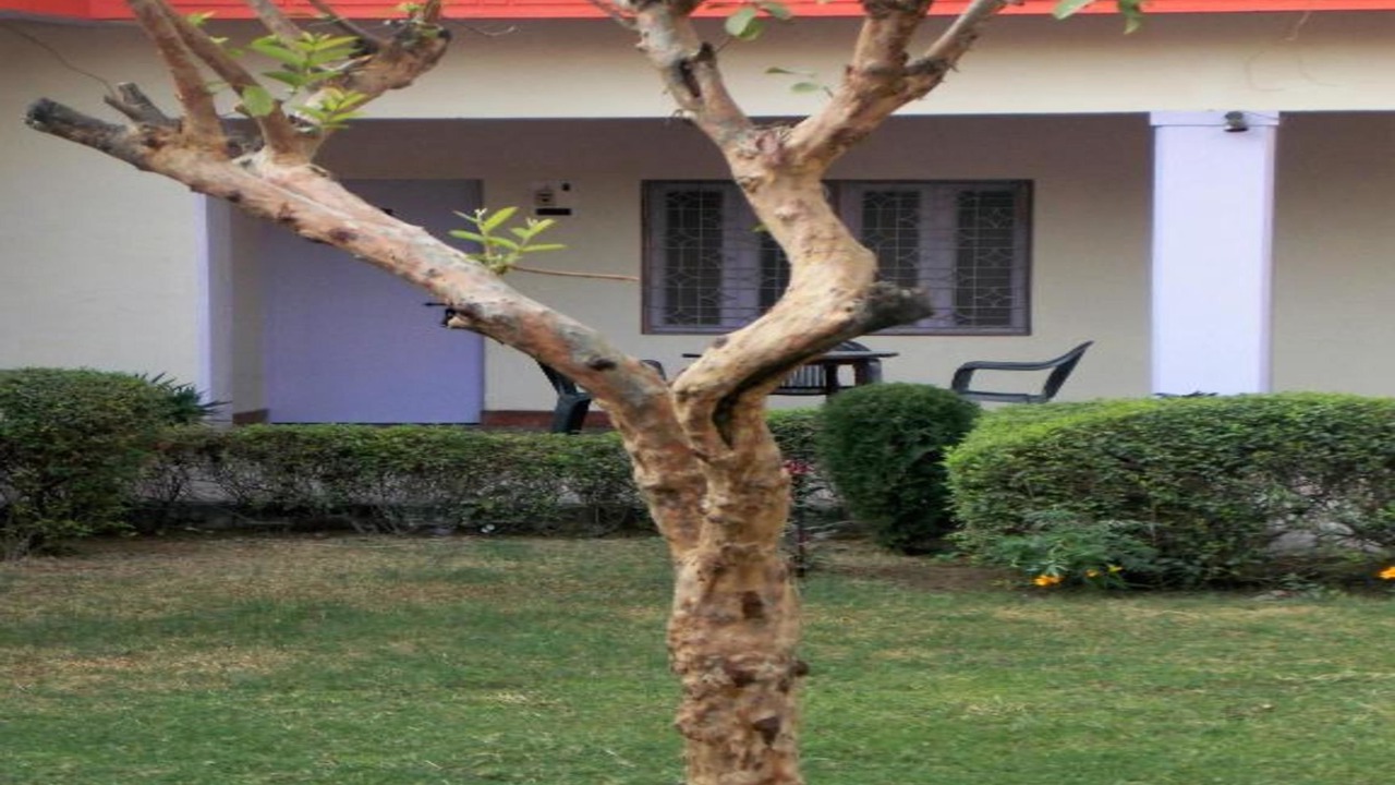 Photo of Outdoor in Fatehpur Sikri