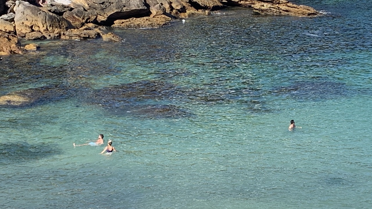 Photo of Others in Randwick