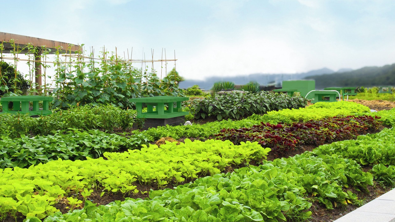 Photo of Outdoor in Xihu