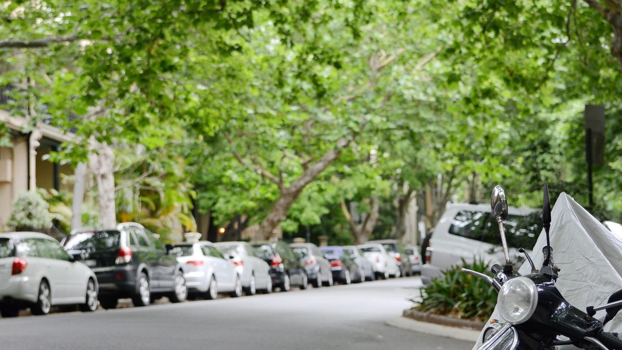 Photo of Others in Potts Point