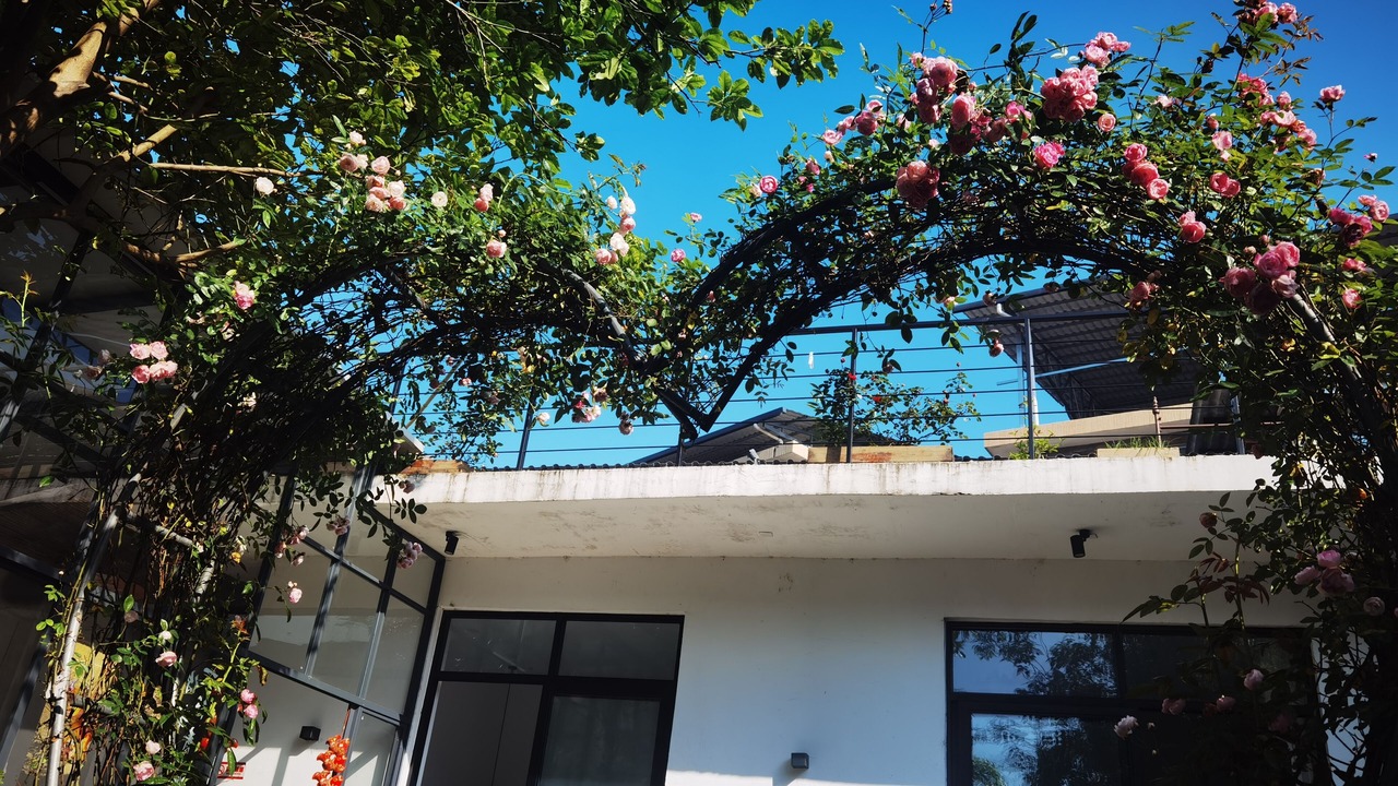 Photo of Outdoor in Yongding