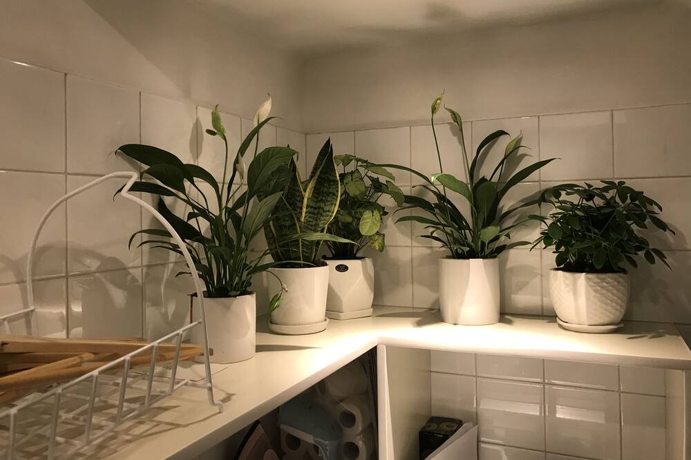 Photo of Kitchen in Jing'an