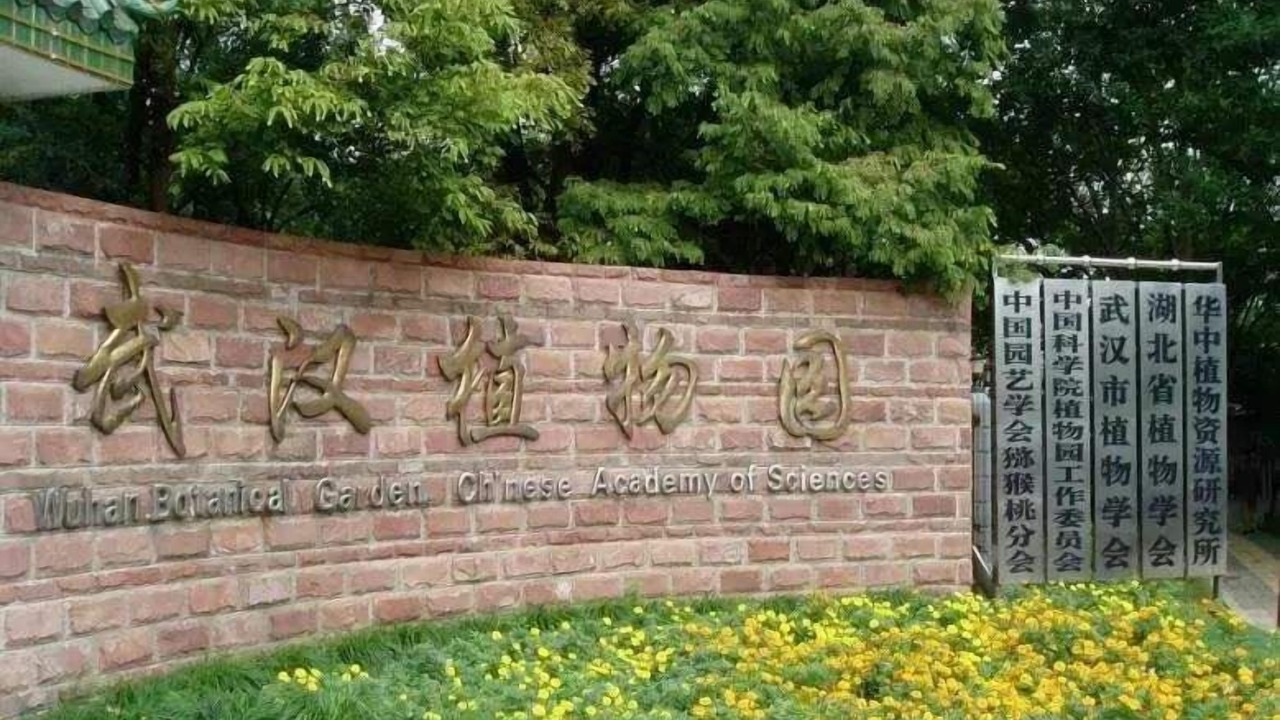 Photo of Others in Hongshan