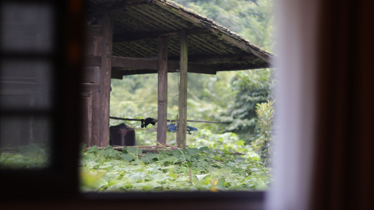 Photo of Bedroom in Emeishan