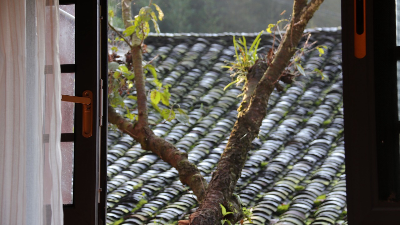 Photo of Others in Emeishan