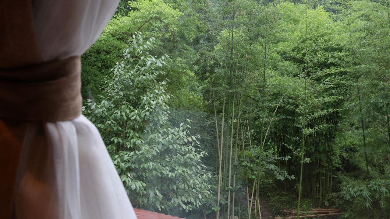 Photo of Bedroom in Emeishan