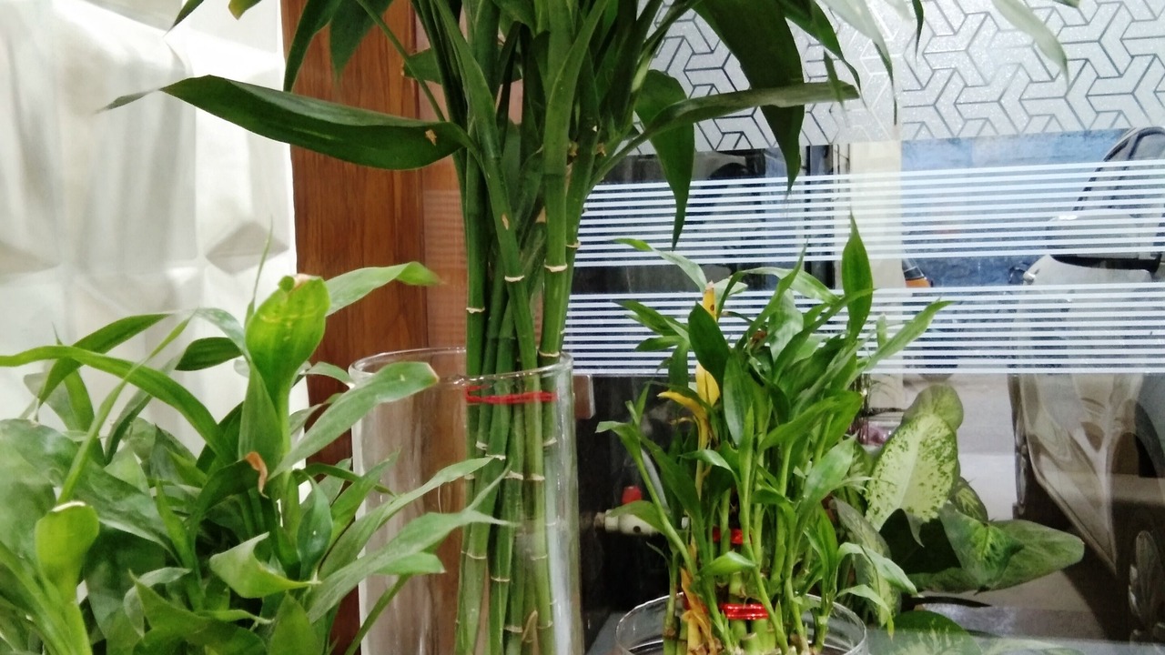 Photo of Outdoor in Rakabganj