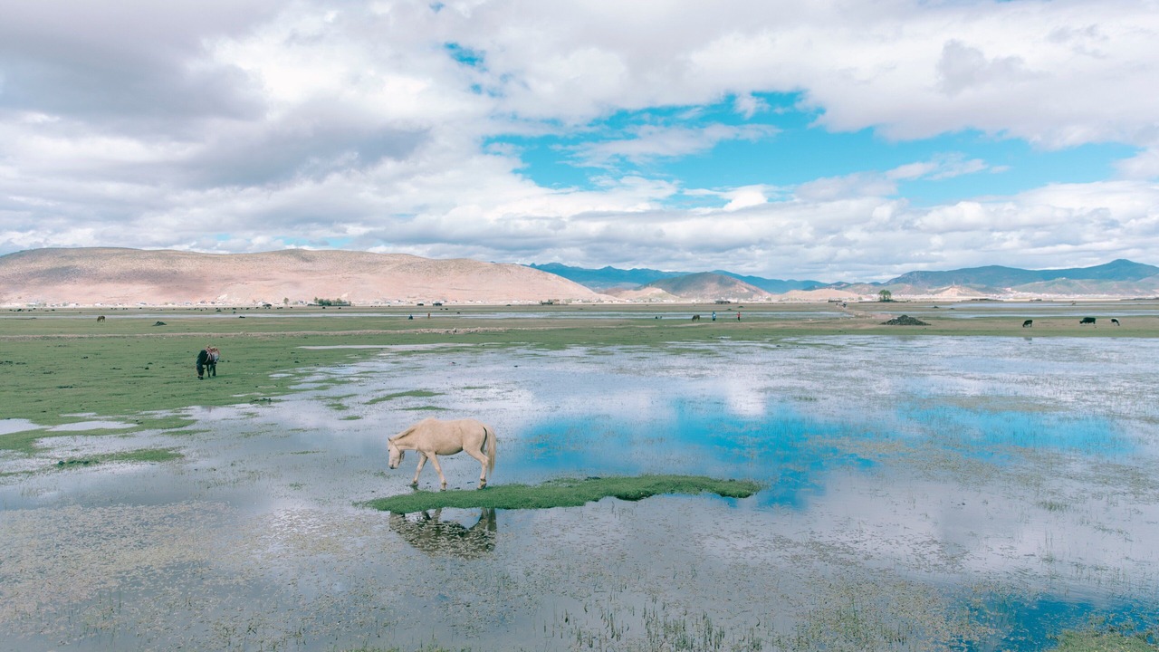 Photo of Others in Shangri-La