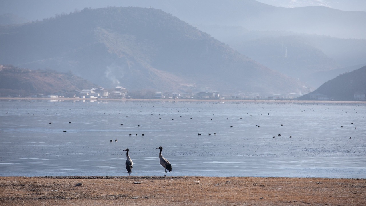 Photo of Others in Shangri-La