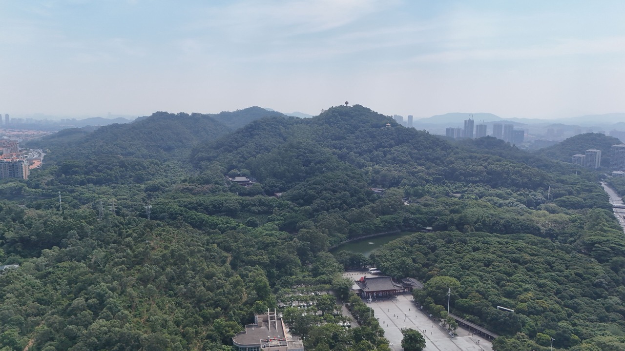 Photo of Others in Dongguan City Center