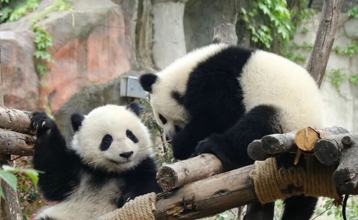 Photo of Others in Jinjiang