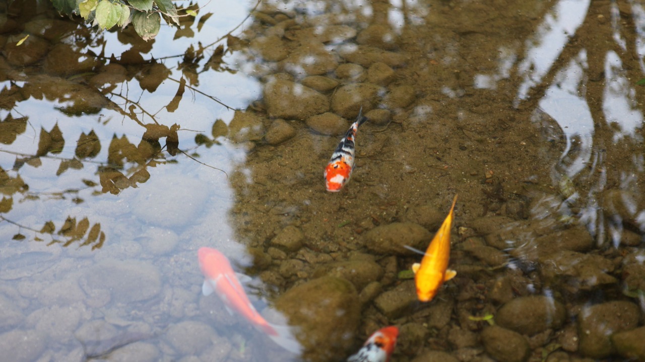Photo of Others in Guilin City Centre