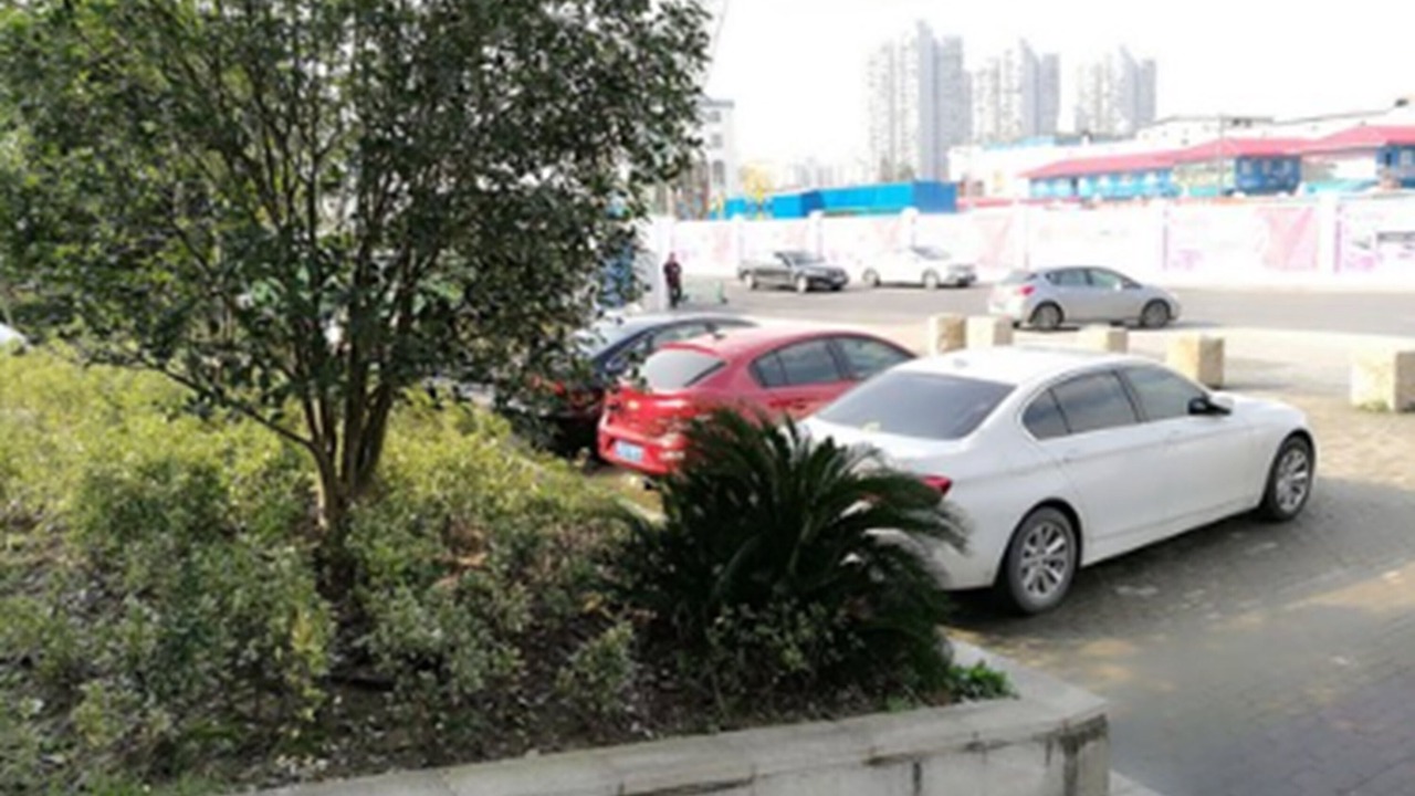 Photo of Others in Pudong