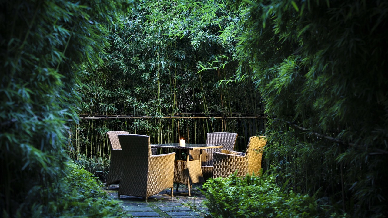 Photo of Outdoor in Xindu