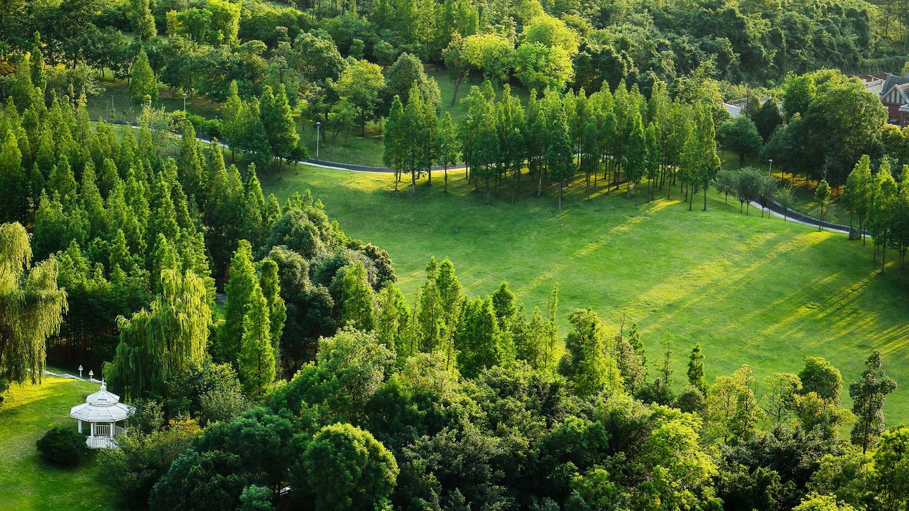 Photo of Outdoor in Xindu