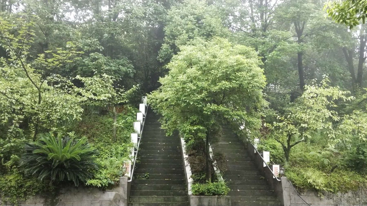 Photo of Outdoor in Deyang