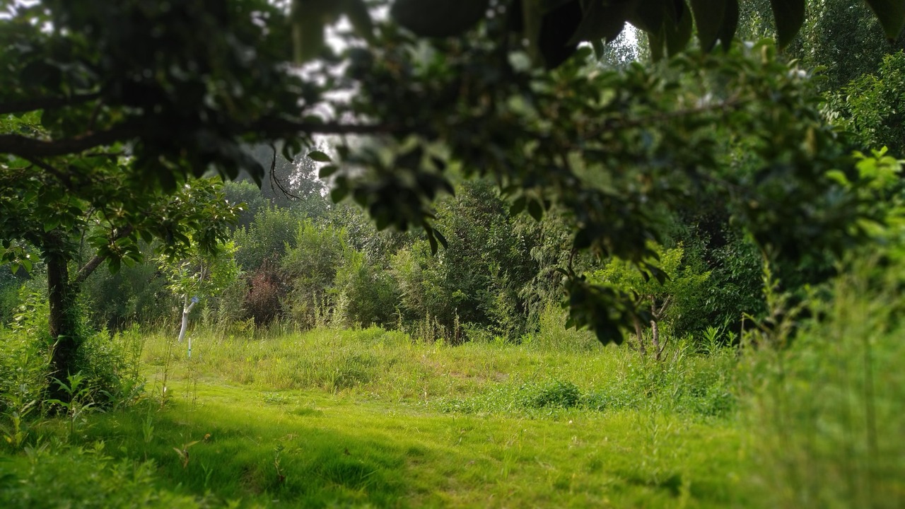 Photo of Outdoor in Decheng District