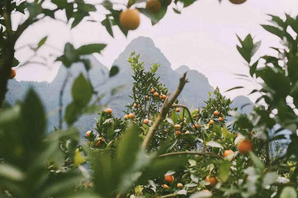 Photo of Outdoor in Guilin City Centre