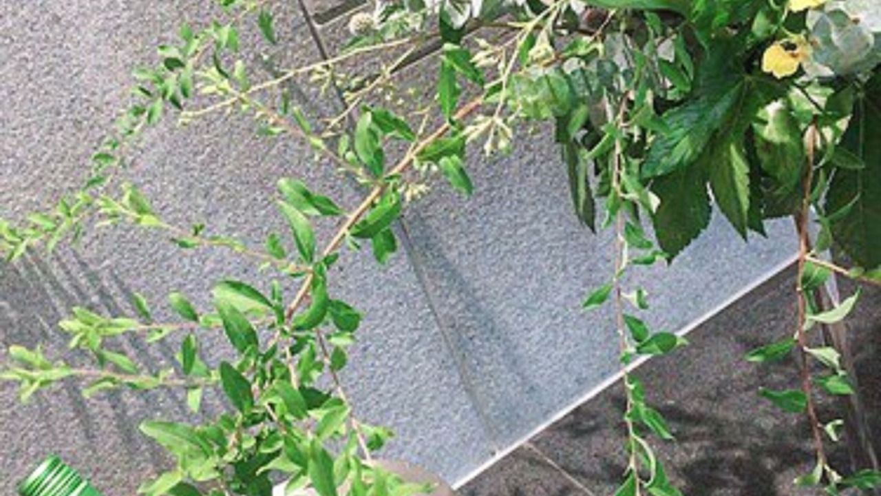 Photo of Others in Putuo