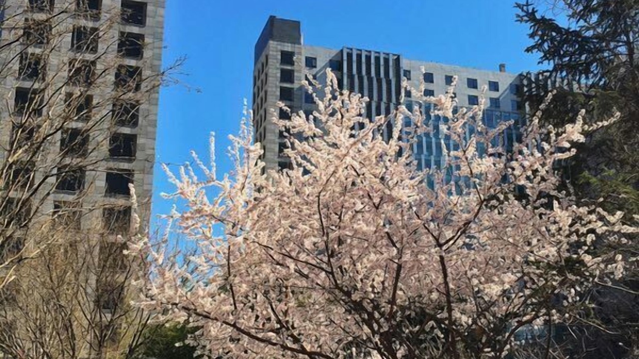 Photo of Outdoor in Middle Chaoyang