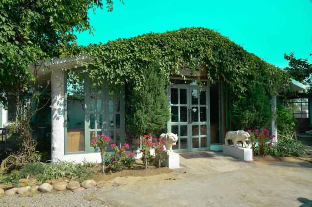 Photo of Outdoor in Palia Kalan