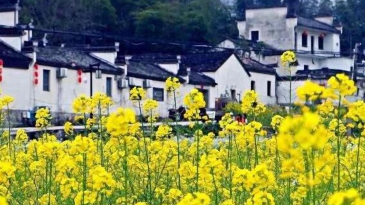 Photo of Outdoor in Tunxi
