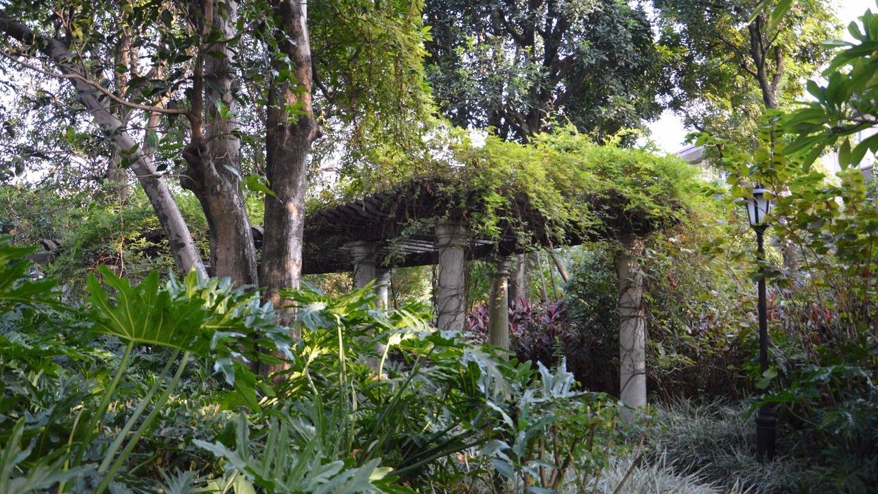Photo of Outdoor in Gulou