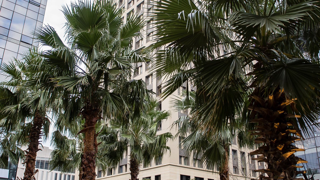 Photo of Outdoor in Guangzhou Science City