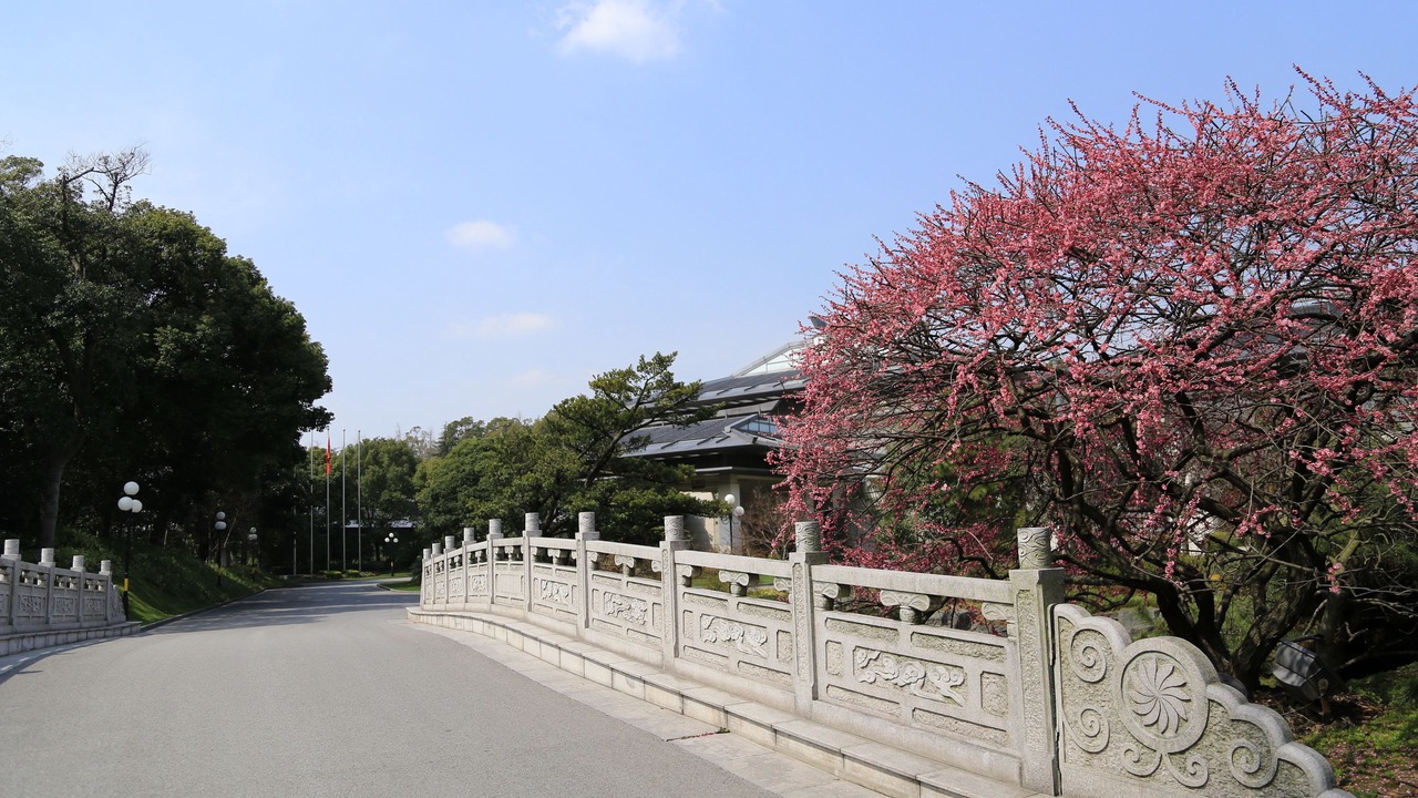 Photo of Outdoor in Jinqiao
