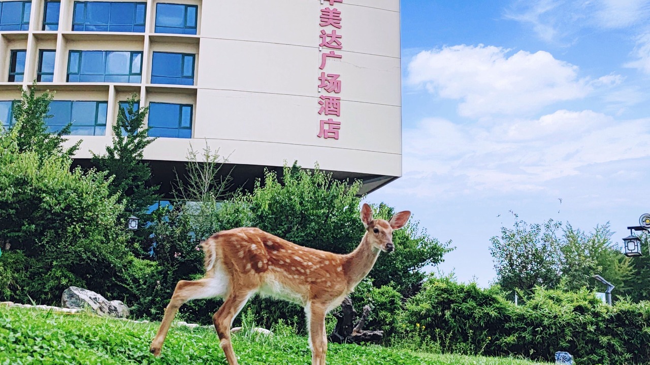 Photo of Outdoor in Tai'an