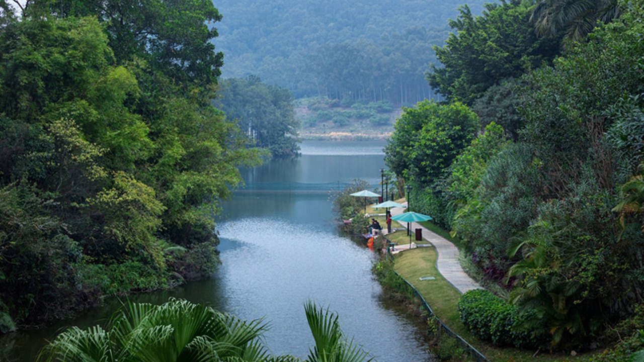 Photo of Others in Miaolingjiuwei