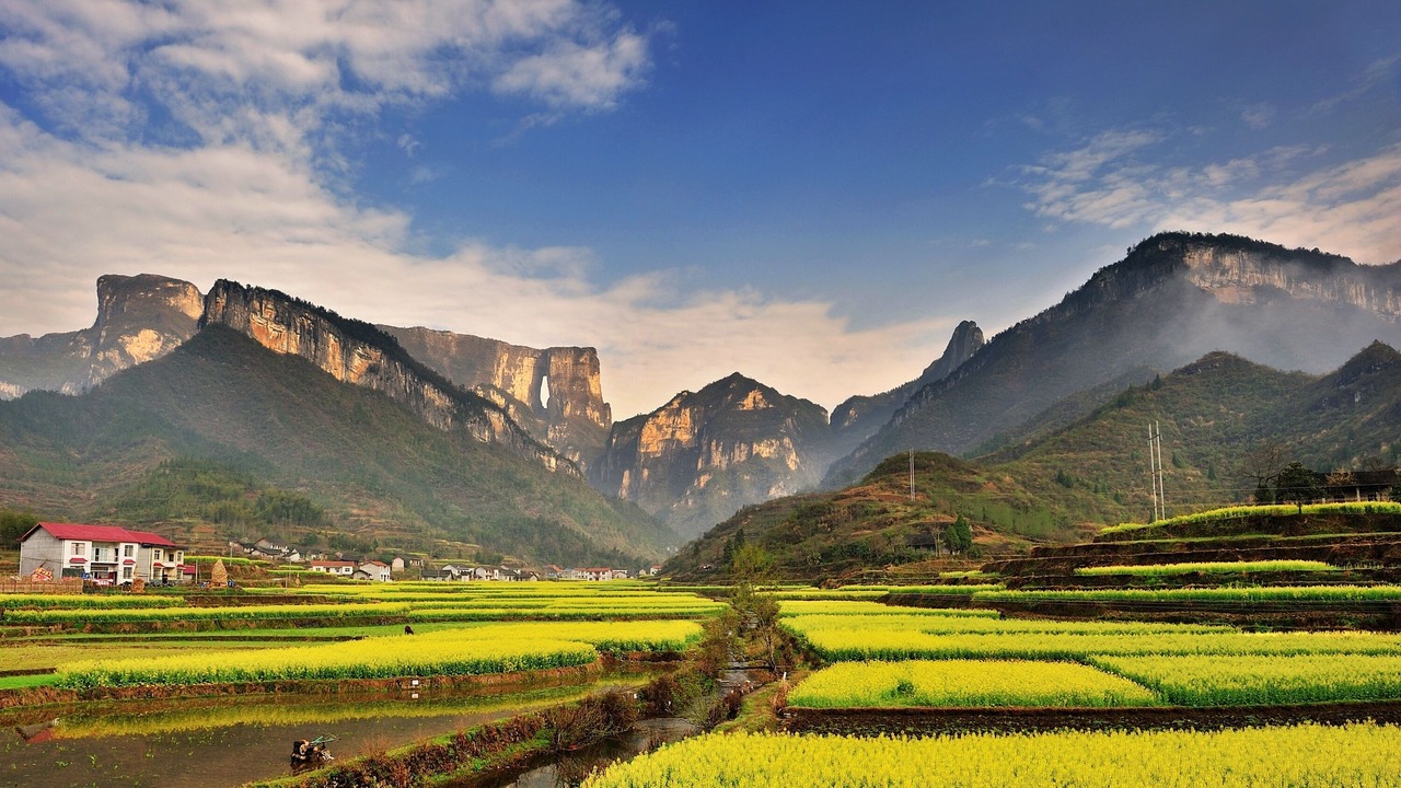 Photo of Others in Chaqiyu