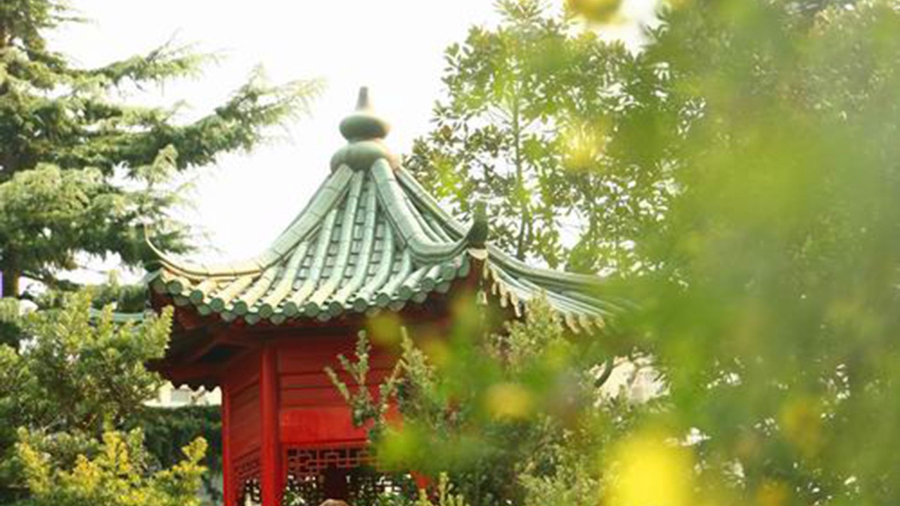 Photo of Outdoor in Xuhui