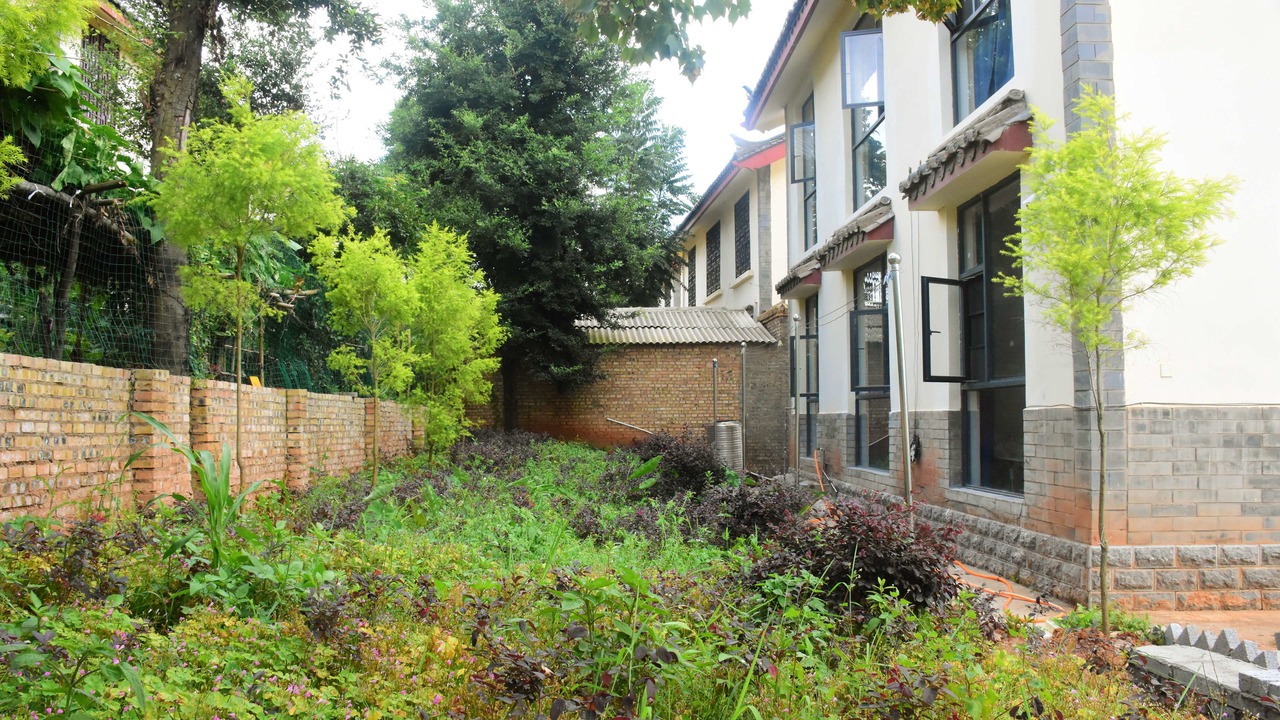 Photo of Outdoor in Shilin Yi Autonomous County