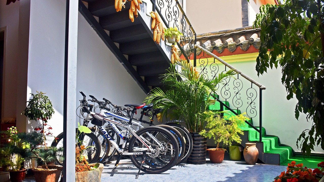 Photo of Outdoor in Shilin Yi Autonomous County
