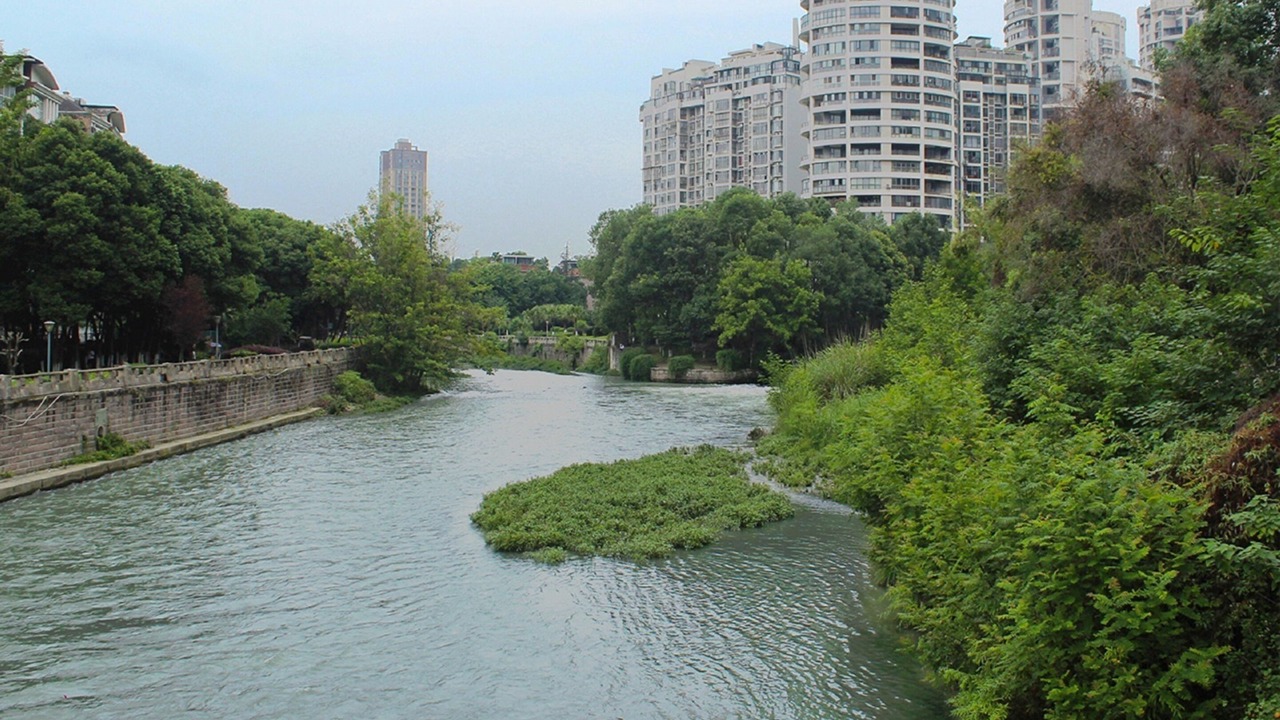 Photo of Others in Wenjiang