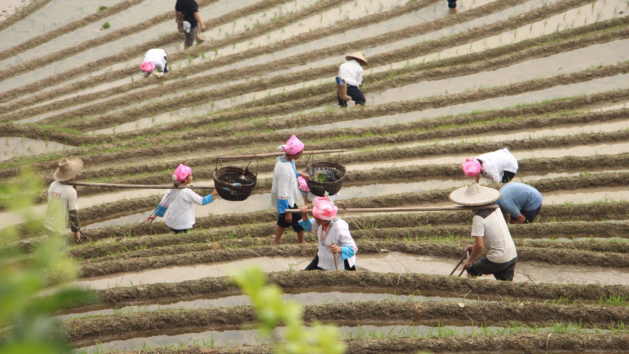 Photo of Outdoor in Longsheng