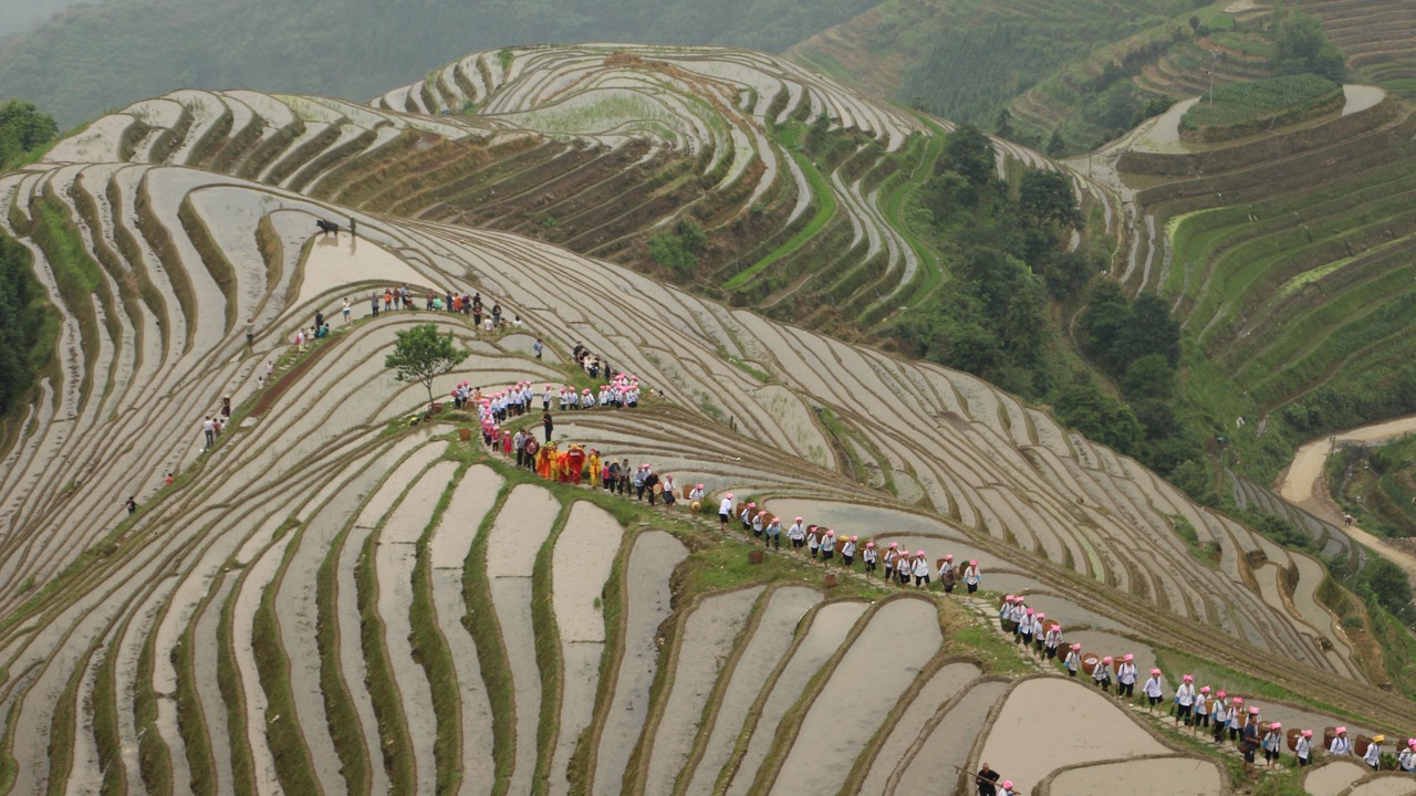 Photo of Others in Longsheng