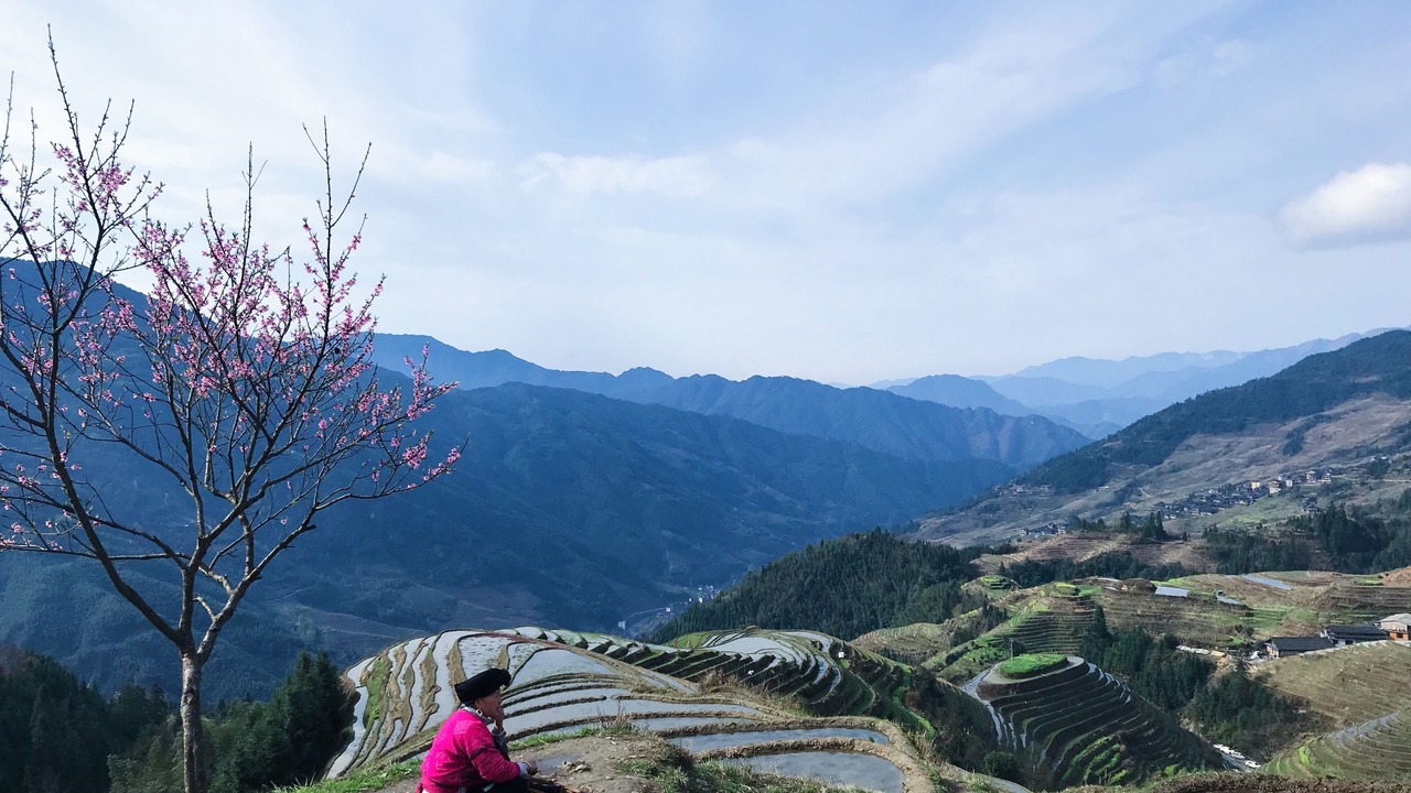 Photo of Others in Longsheng