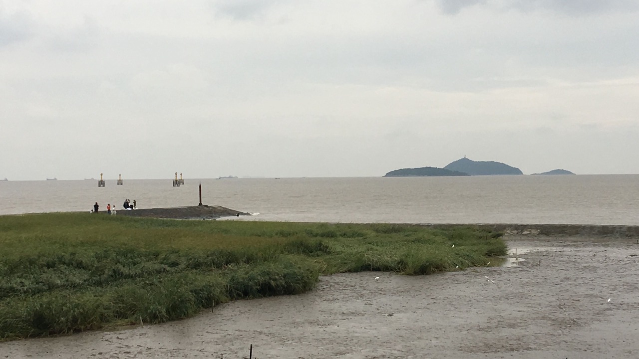 Photo of Others in Jinshan